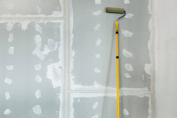 Best Mold-Related Health Consultation  in Doylestown, OH