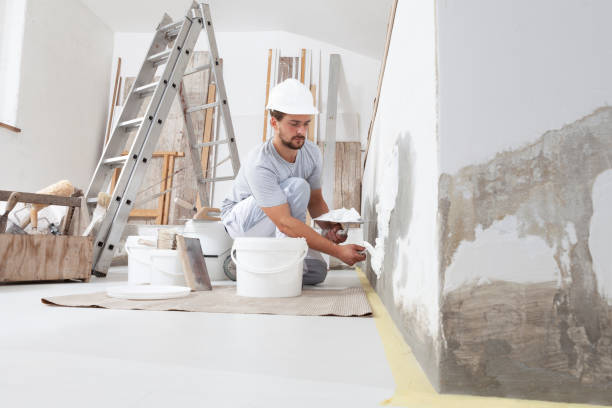  Doylestown, OH Mold Removal Pros