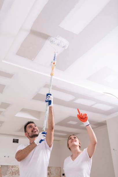 Trusted Doylestown, OH Mold Removal Experts